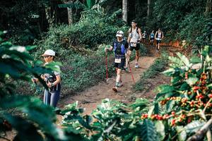 BIB: 
                            <button type="button" onclick="openModal(25838031)" class="btn btn-primary btn-sm float-right btn-popup" data-toggle="modal" data-target=".modal-high-quality">
                        <i class="fas fa-shopping-cart"></i> Add to Cart
                    </button>
                                            <button type="button" onclick="isThisMe(25838031, true)" class="btn btn-success btn-sm float-right btn-popup btn-isme hidden" data-toggle="tooltip" data-placement="bottom" title="นี่คือรูปของคุณใช่ไหม คลิกที่นี่เพื่อเอาเข้าอัลบั้ม">
                        <i class="fas fa-plus"></i> Add to album
                    </button>
                    <button type="button" onclick="isThisMe(25838031, false)" class="btn btn-warning btn-sm float-right btn-popup btn-isnotme hidden">
                        <i class="fas fa-ban"></i> Remove from album
                    </button>